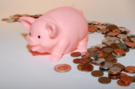 46827-monnaie-dollars-euros-argent-cochon.jpg, sept. 2009