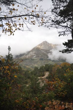 DSC_0039.JPG, oct. 2010