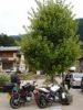 Alpes 2008 - 20.jpg