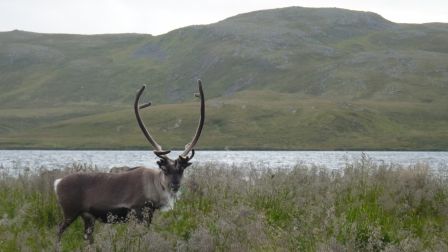 Scandinavie_2009-26