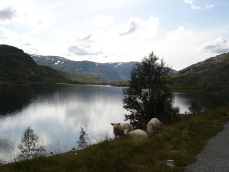 , août 2009